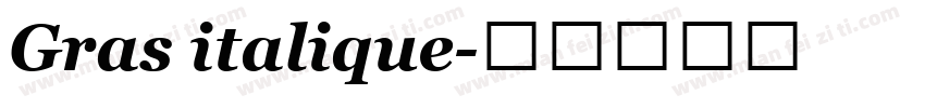 Gras italique字体转换